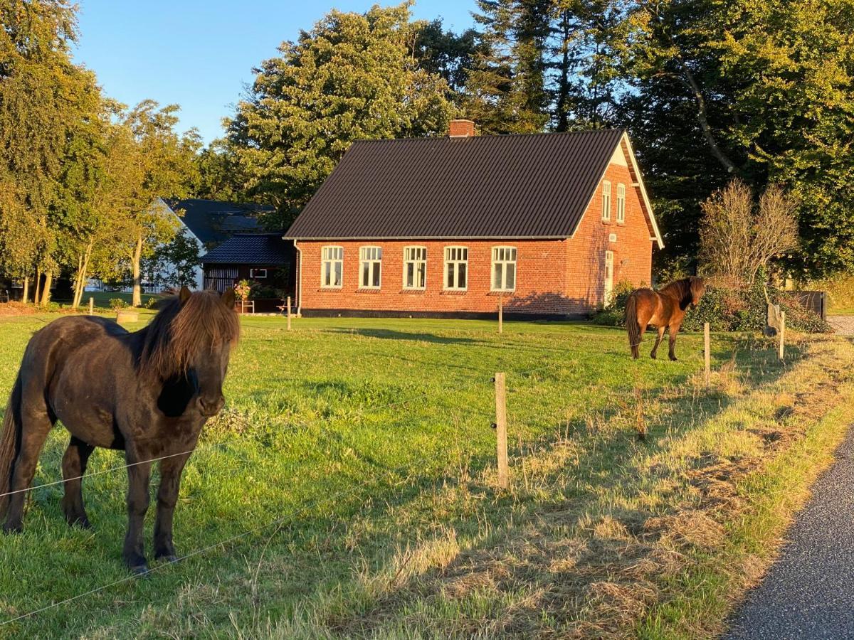 Branderup Hyggelig Aftaegtsbolig I Hjertet Af Sonderjyllandヴィラ エクステリア 写真