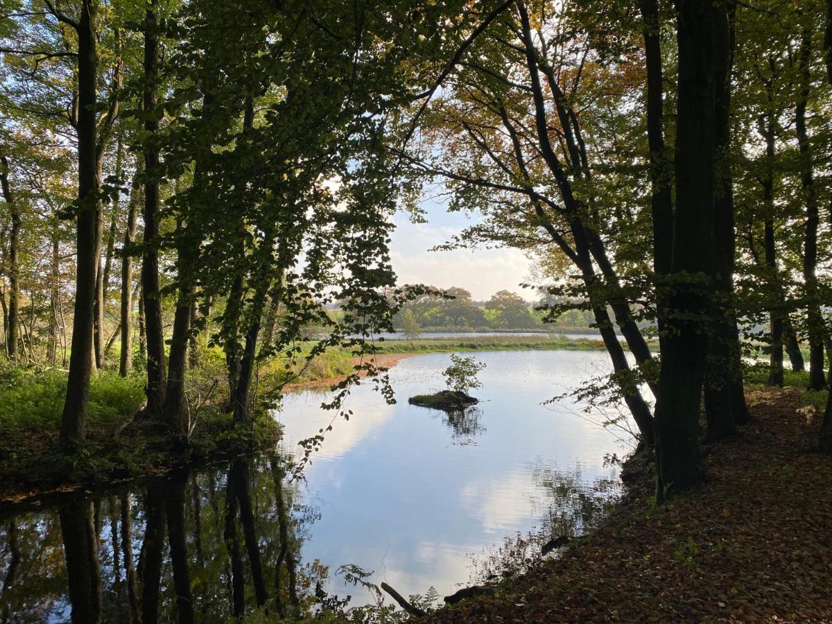 Branderup Hyggelig Aftaegtsbolig I Hjertet Af Sonderjyllandヴィラ エクステリア 写真